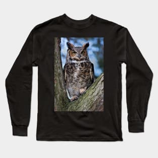 Great Horned Owl Long Sleeve T-Shirt